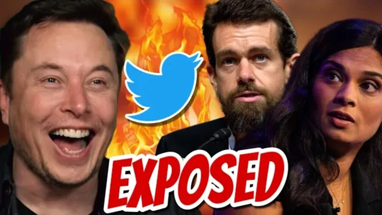 Elon Musk Just DROPPED His Smoking Gun on Twitter - This is HUGE