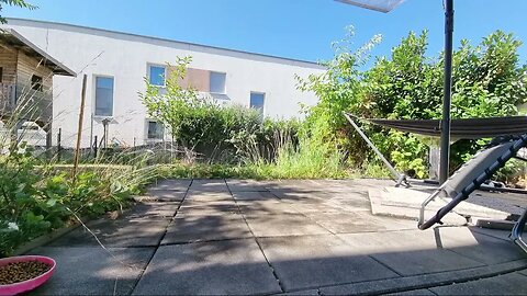 Highlight 49:14 – 54:14 von Silent Long LIVE for wh update in the garden @TravelGeorge #ghitatrave