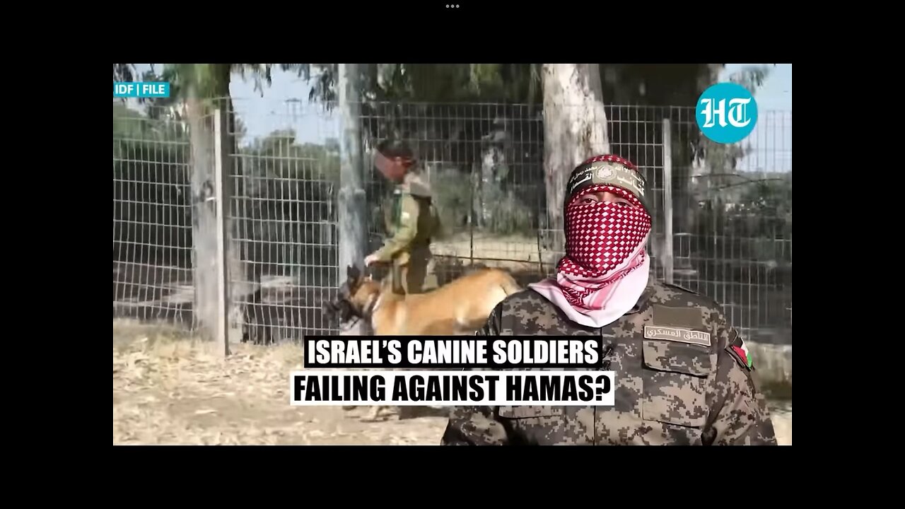 Hamas’ ‘Large Dogs’ Beat Israeli Canine Soldiers In Gaza: 17 IDF Military Dogs Killed | Report