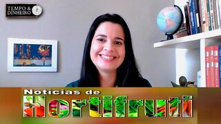 Noticias de Hortifrúti - com Mariana Aranha