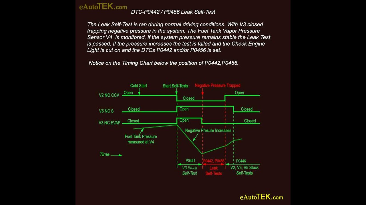 EVAP System