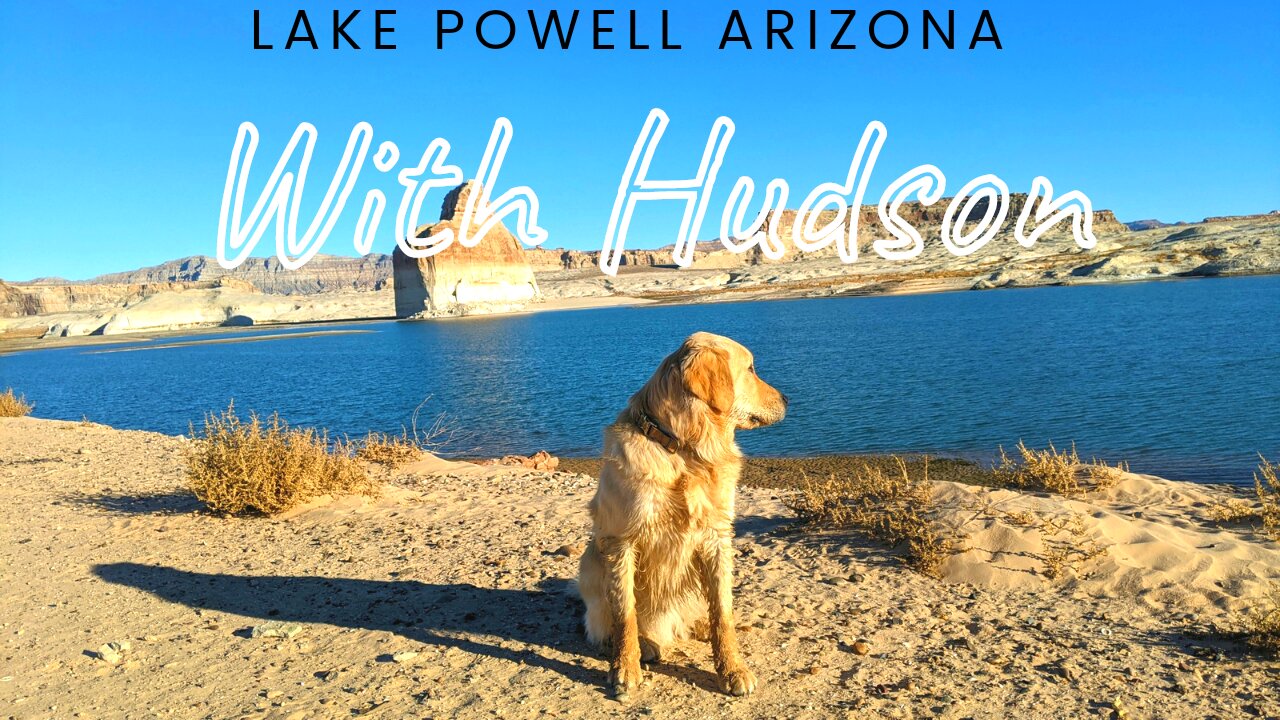 Exploring Glen Canyon and Lake Powell with our muddy Golden Retriever in the frigid weather 36℉