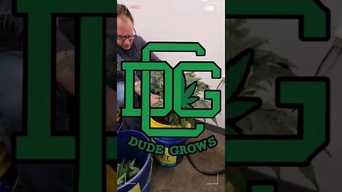 Subscribe To Get Started Now #gardening #harvest #yield #legalization