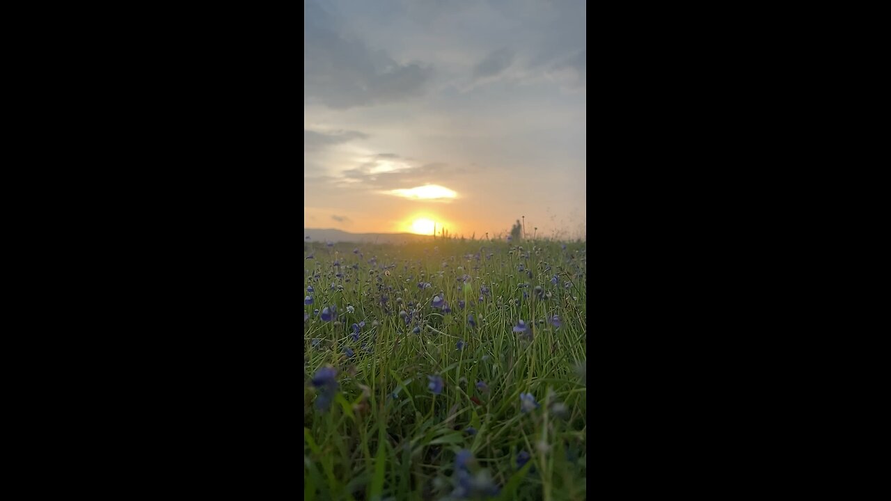 An evening walk with love