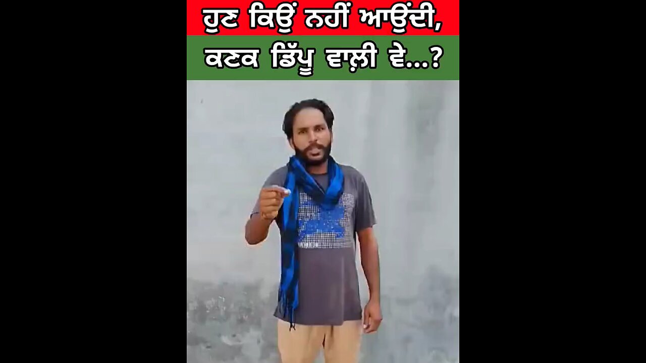 ਹੁਣ ਕਿਉਂ ਨਹੀਂ ਛੇਤੀ ਆਉਂਦੀ, ਕਣਕ ਡਿੱਪੂ ਵਾਲ਼ੀ ਵੇ