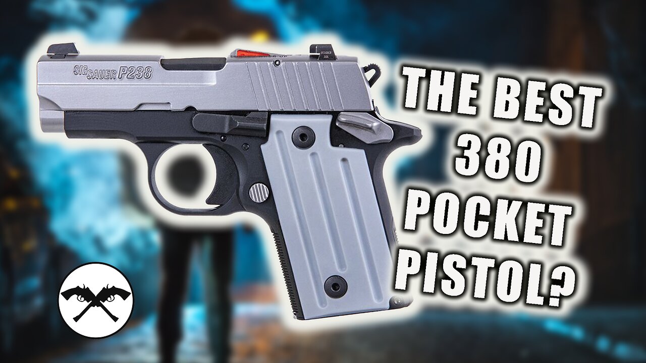 My Favorite 380 ACP Pocket Pistol!