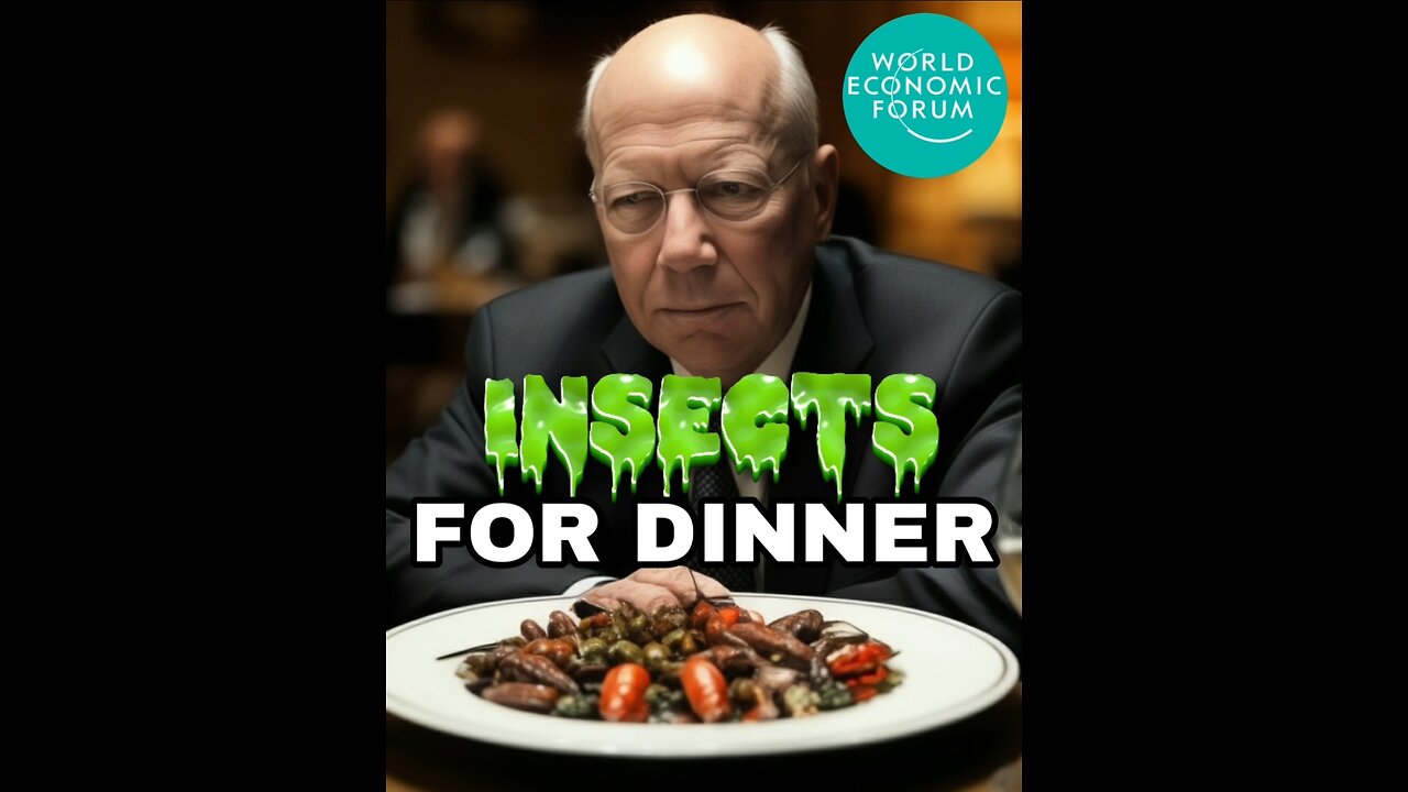 Insects For Dinner