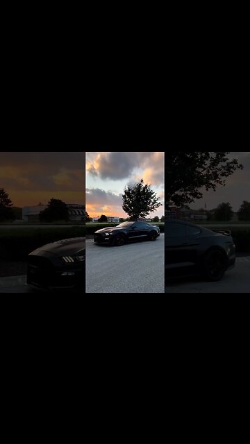 Come and watch the sunset with me🐍 #ford #mustangsociety #fordperformance #fordracing #shorts
