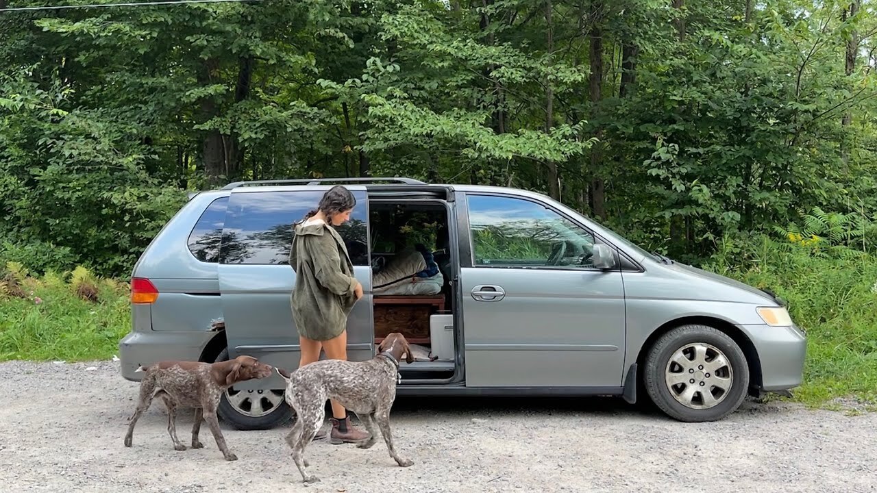 Van life with dogs is scary…