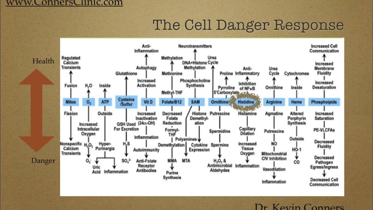 Cell Danger 201 - Dr. Kevin Conners