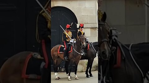 Guards can't stop laughing at horse keeps moving #horseguardsparade