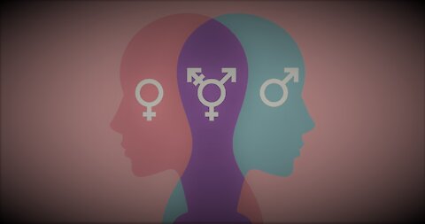 Dr. Gender