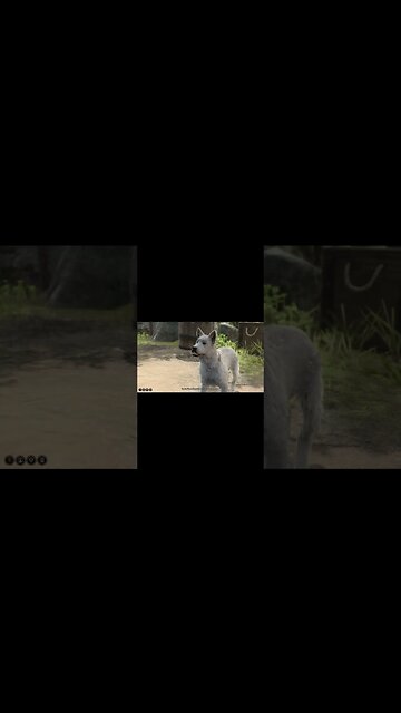 Baldurs Gate 3 :) Best Game