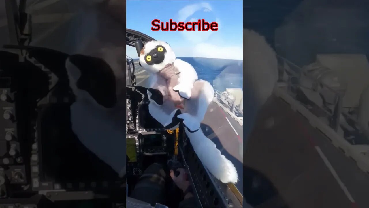 Funniest Guy Put Monkey In #Jet On Aircraft Carrier Takeoff #Aviation #AeroArduino