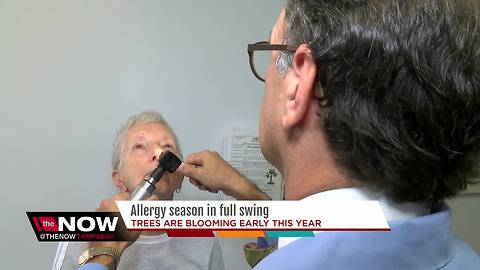 Allergies hitting hard and striking early in Tampa Bay