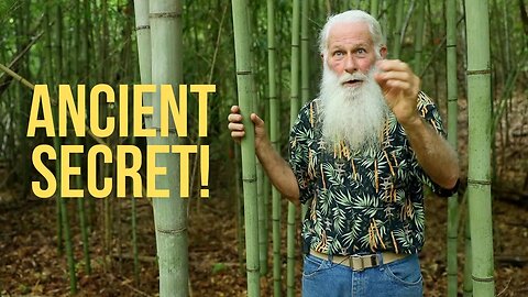 The Secret to Killing Bamboo | NO Chemicals or Machines