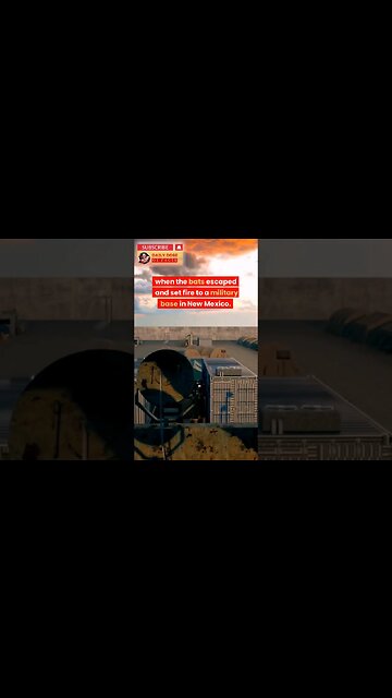 Fasinating facts about world war #shorts #facts #shortsfeed