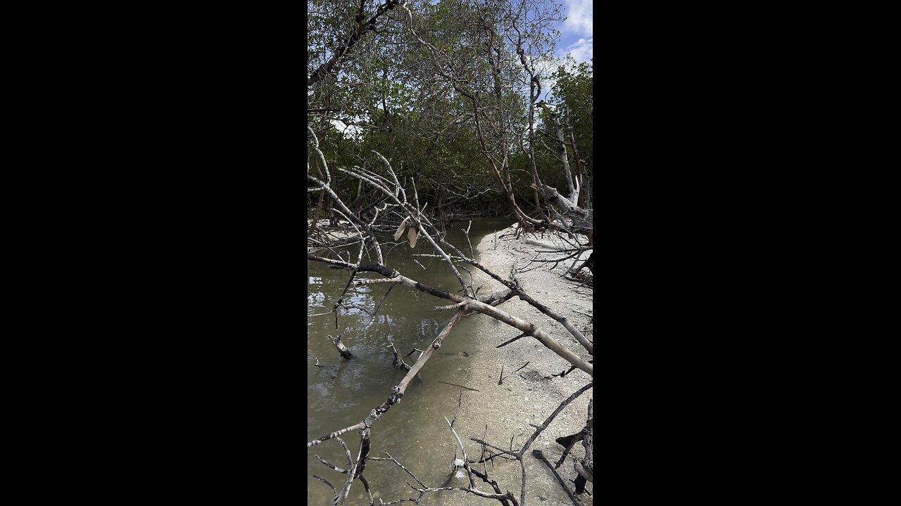 Hurricane Milton’s Impacts on Kice Island! | 4K