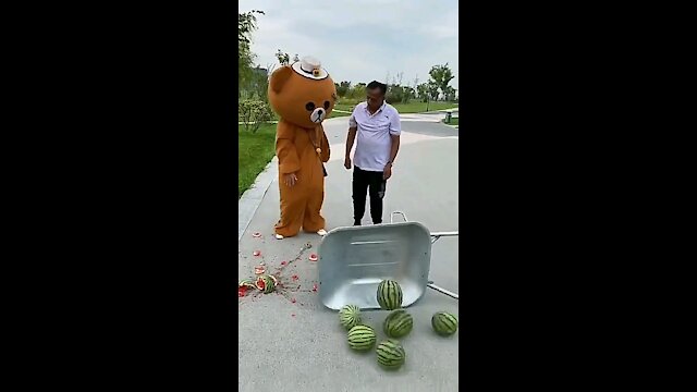 funny_video___funny_videos_comedy_video_comedy_videos