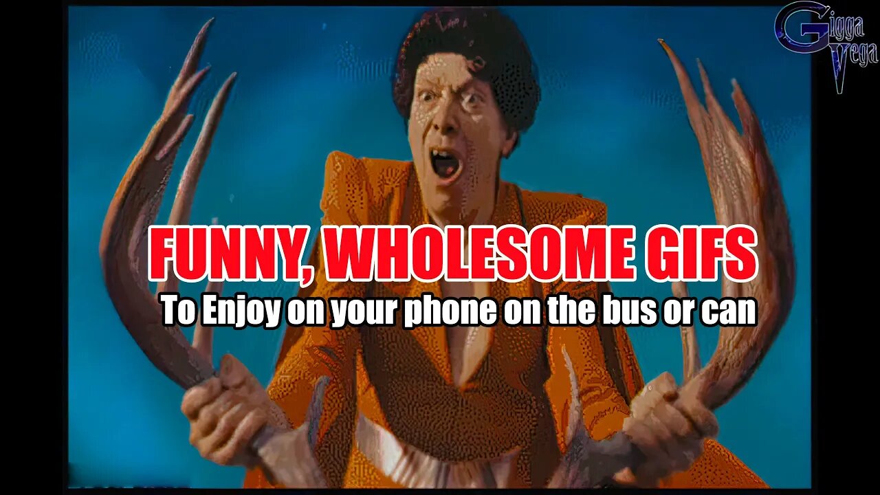 Funny and wholesome GIFs to enjoy on your phone on the bus or can
