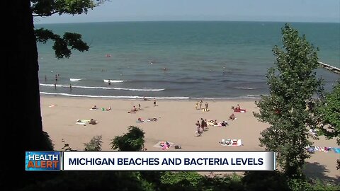 Ask Dr. Nandi: Great Lakes Beaches and Bacteria Levels