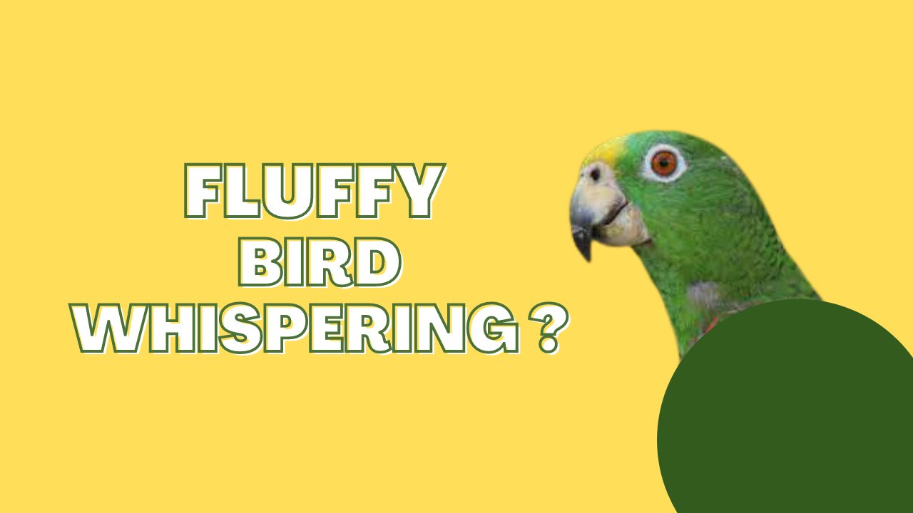 fluffy bird whispers into the microphone