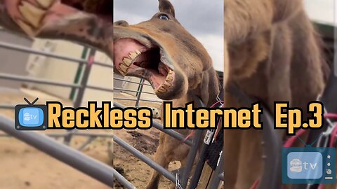 📺Reckless Internet Ep.3