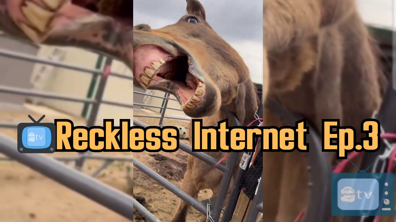 📺Reckless Internet Ep.3