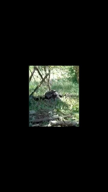 Chechens fighting in Donbass: "Ukrainian, give up! We'll give you a chance!"