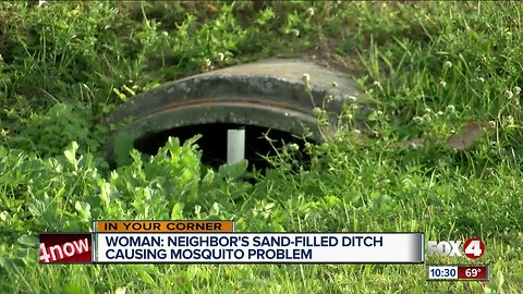 Itching for answers: woman says neighbor causing mosquito problems