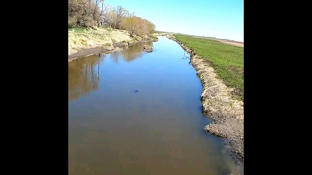 A Bow Fishing Surprise