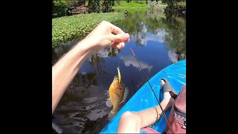 Florida Fishing from a kayak