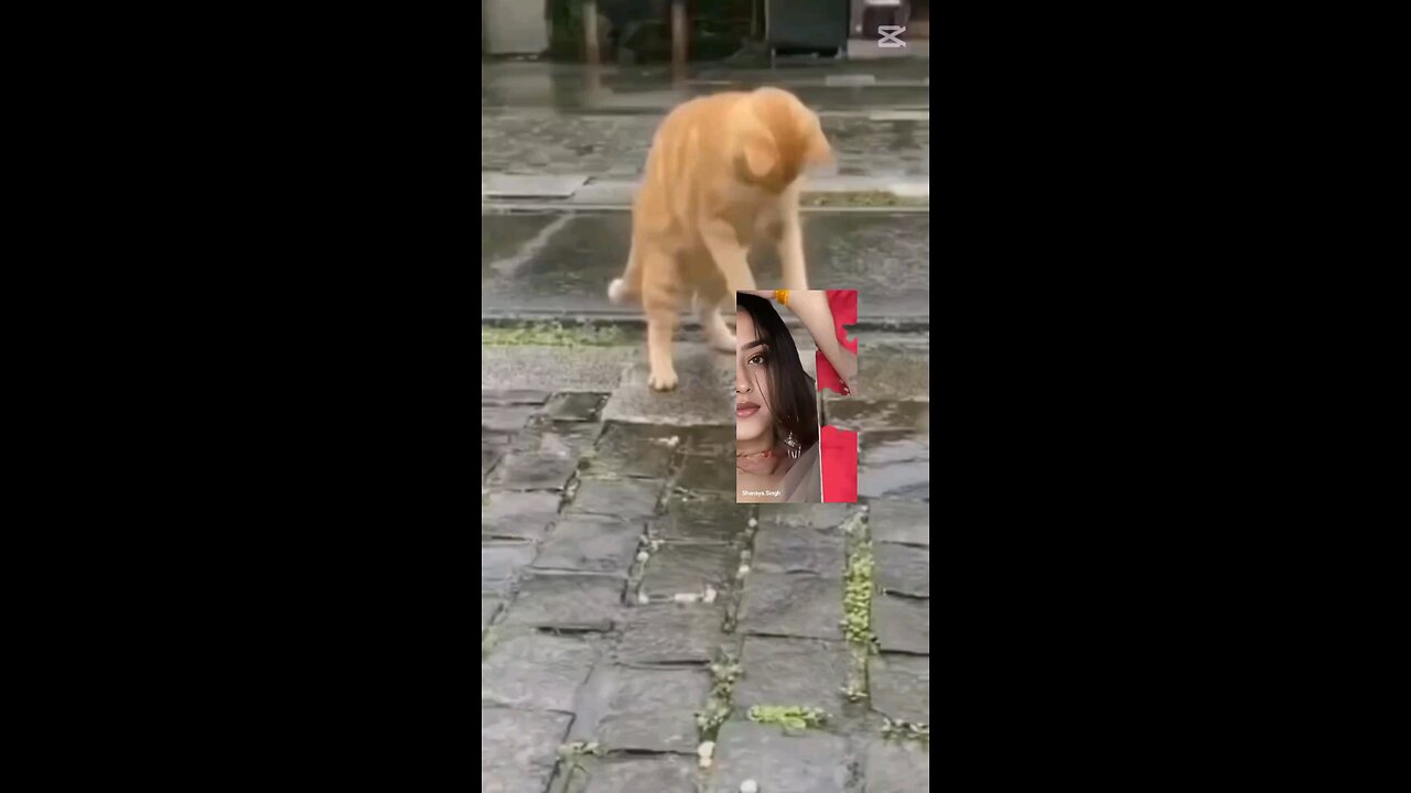 Funny