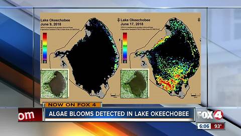 Images show algae activity explodes on Lake Okeechobee