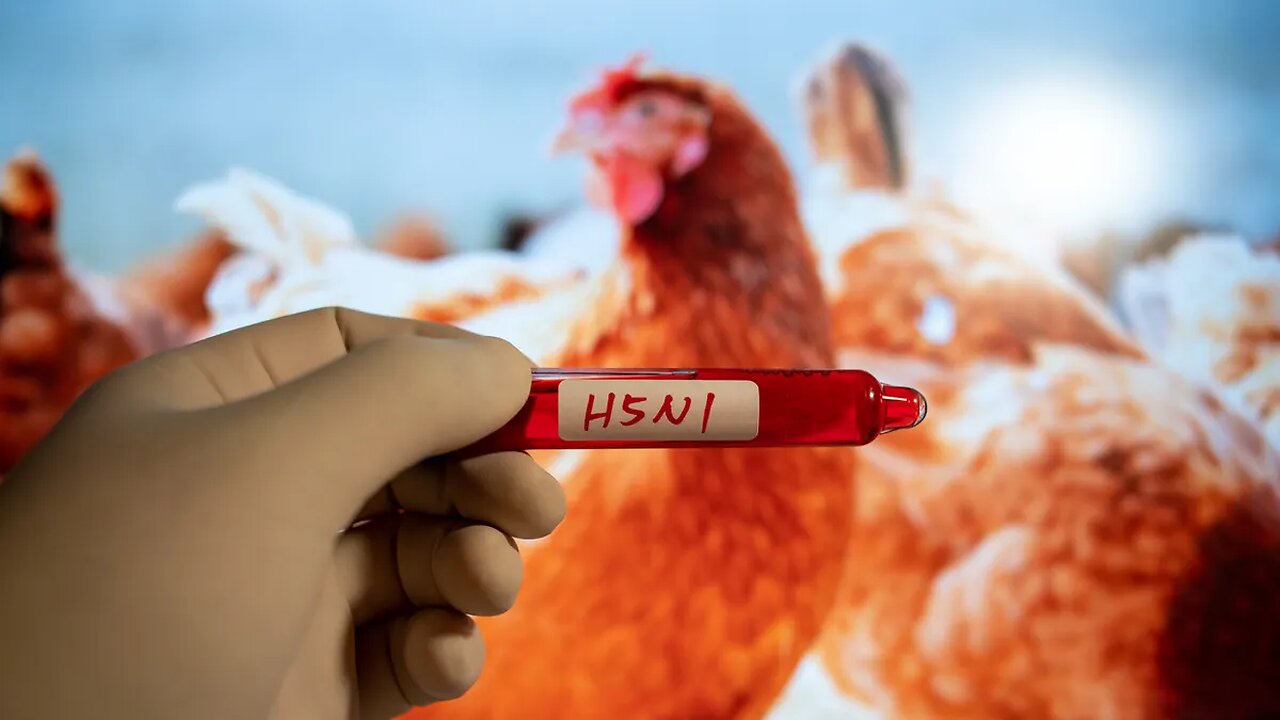 Former CDC Director is 'predicting' a Bird Flu pandemic