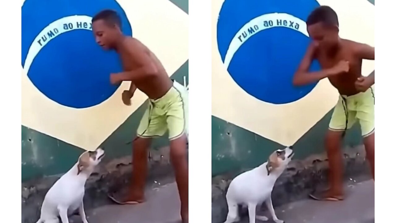 Dog singing and dancing