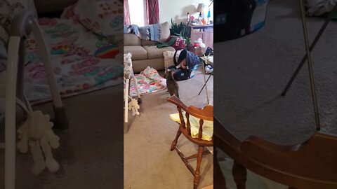#cat saying hi to my great nephew