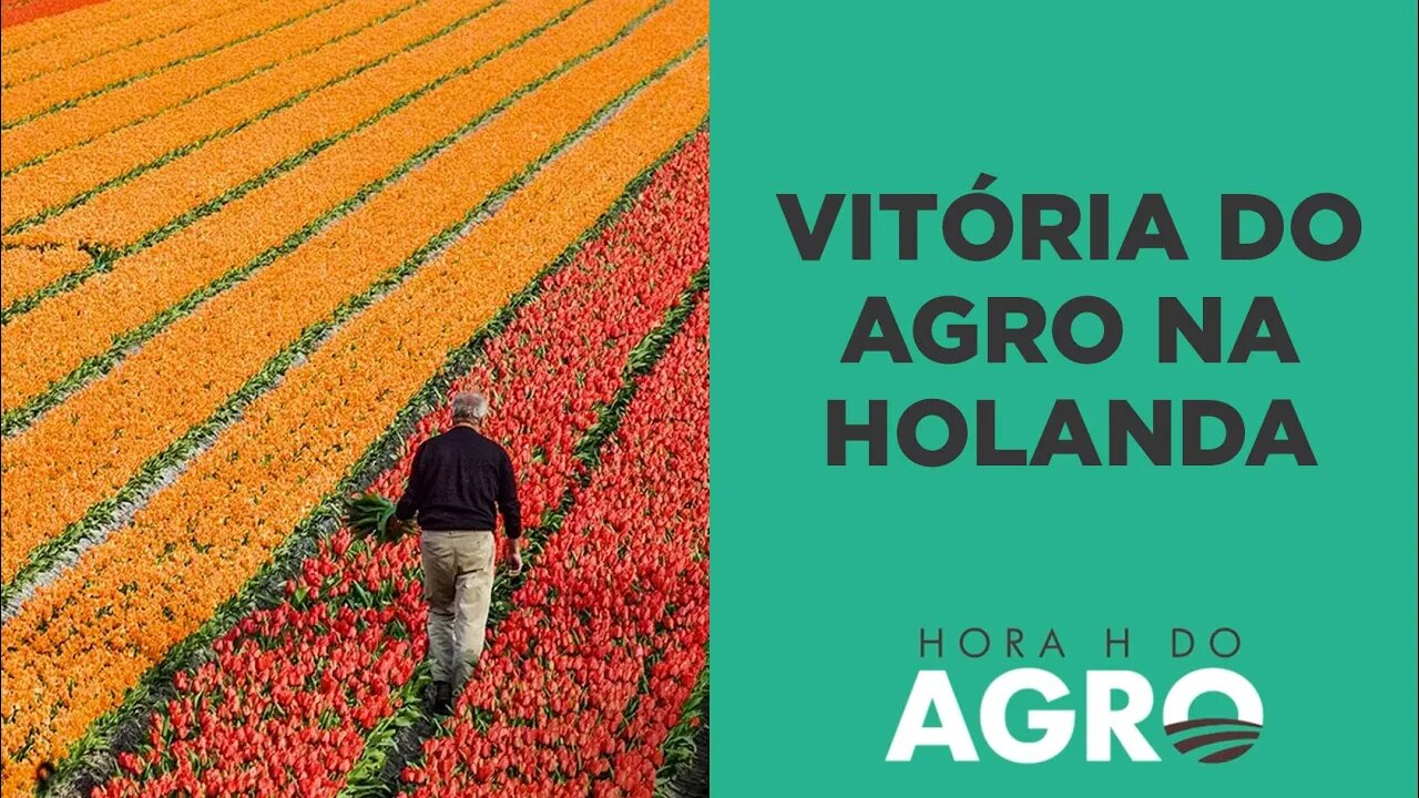 Partido agrícola da Holanda ganha espaço no Senado e deve frear medidas do governo contra o setor