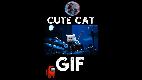 Cute Cat Gif