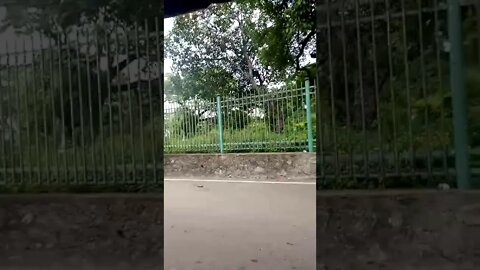 Driving alongside a Cemetery