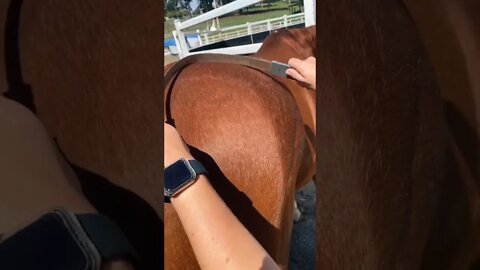 I can’t stop watching this