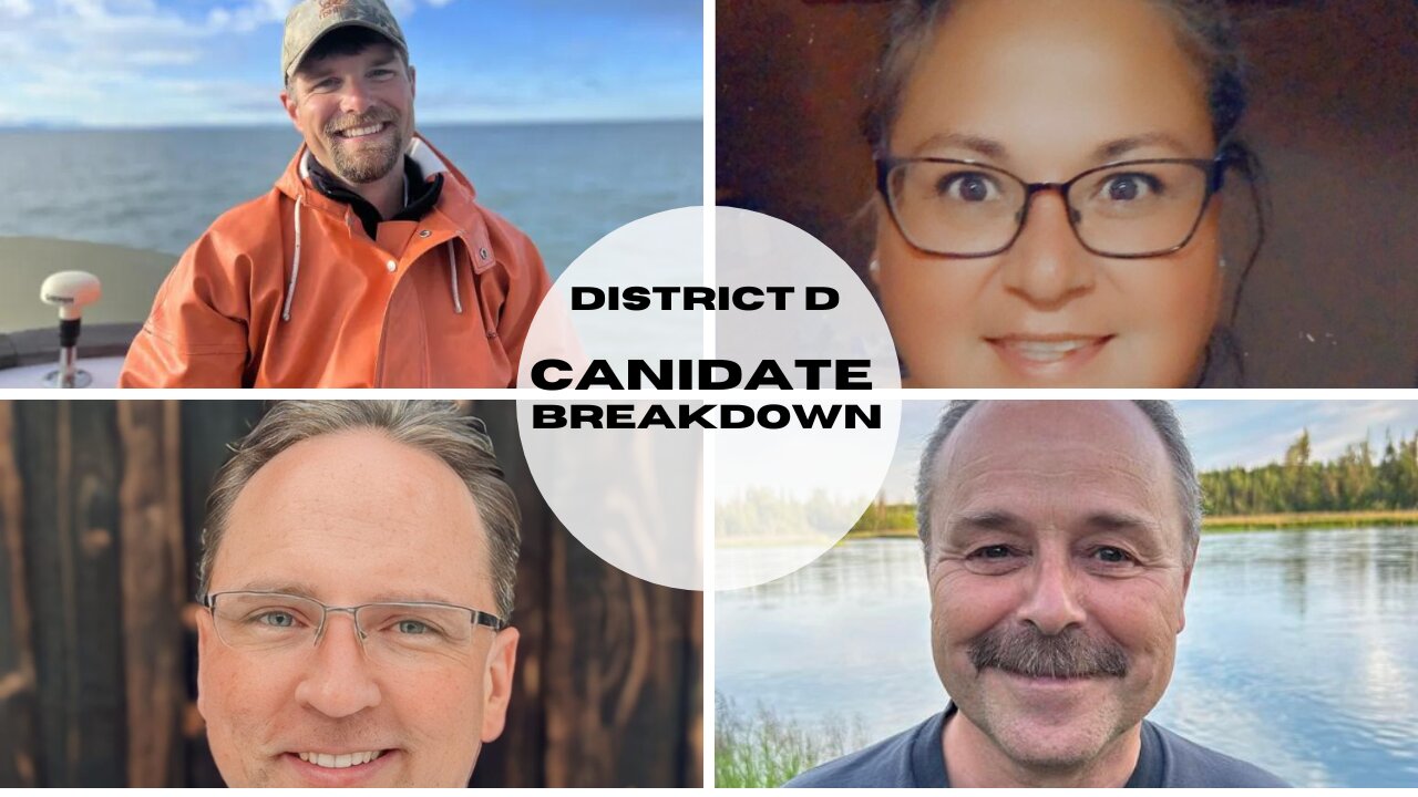 Canidate Breakdown district D Alaska