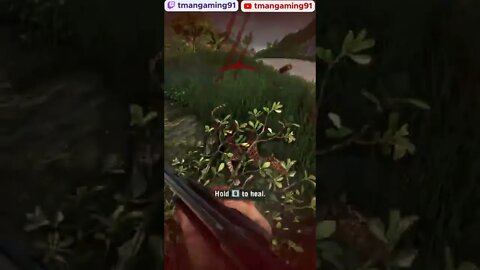 Don't Mess With Leopards