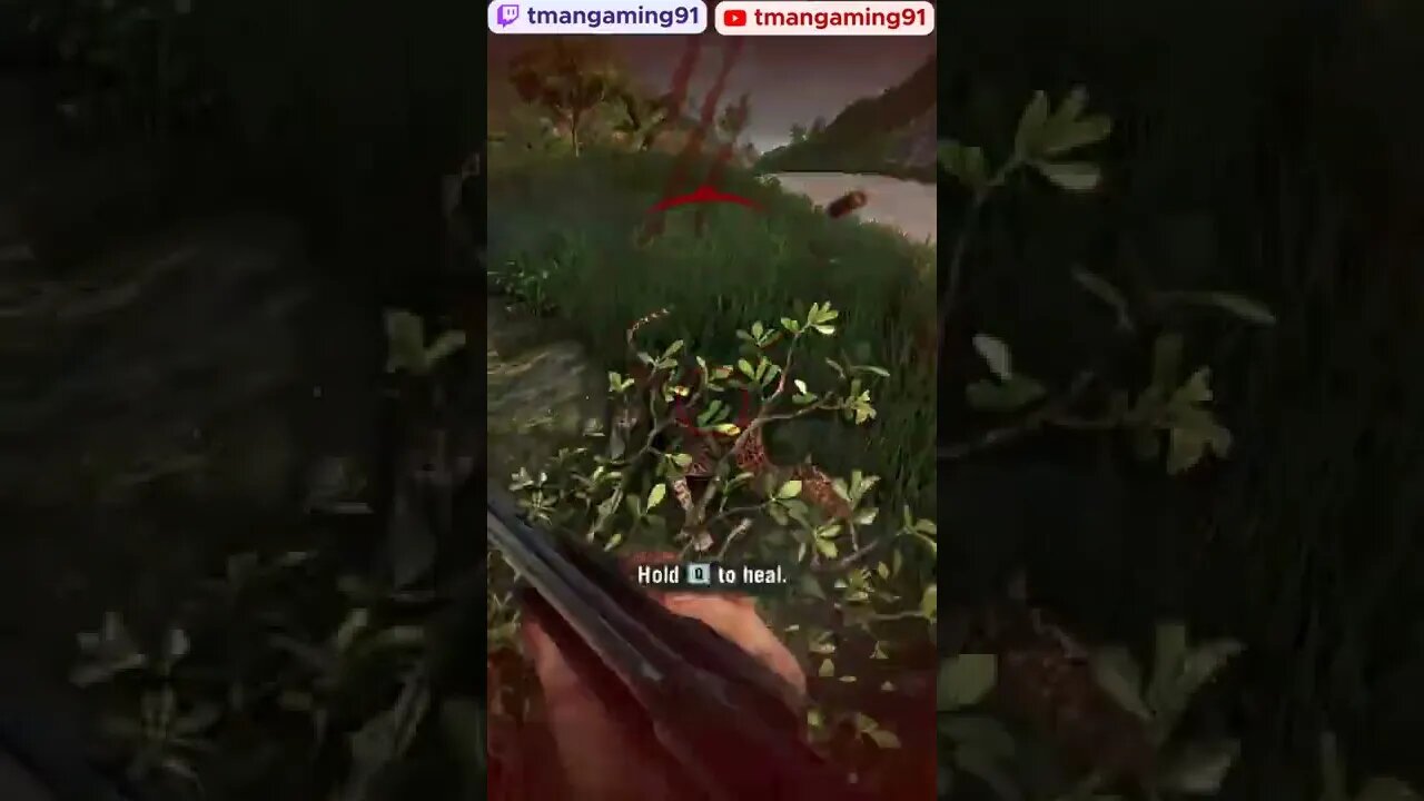 Don't Mess With Leopards