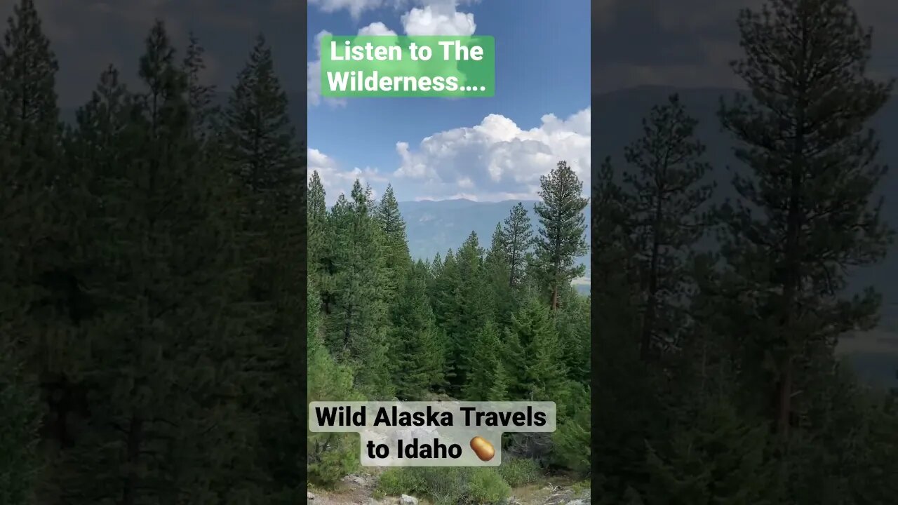 Listen to This….#nature #shorts