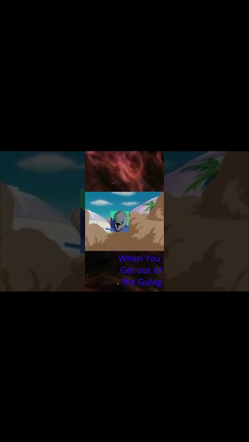 Gulag Break #shorts