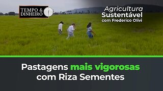 Pastagens mais vigorosas com Riza Sementes