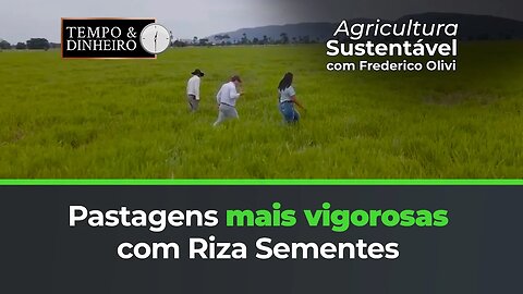 Pastagens mais vigorosas com Riza Sementes