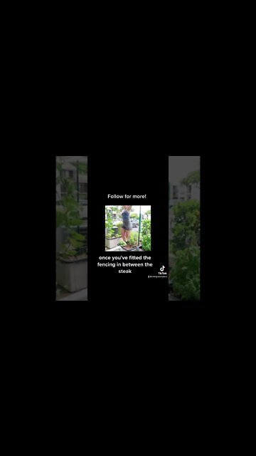 #garden #arch #trellis #diy #shorts