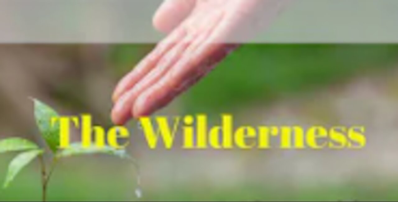 Unworthy Ambassador - Abiding Part 2 Wilderness